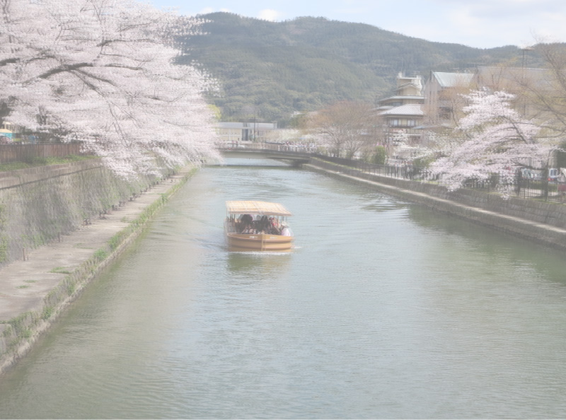 白内障の見え方：イメージ